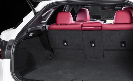 2018 Lexus RX 350 F SPORT Trunk Wallpapers 450x275 (34)