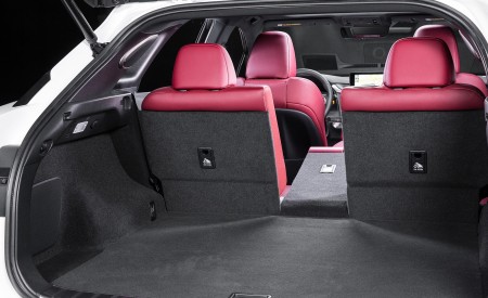 2018 Lexus RX 350 F SPORT Trunk Wallpapers 450x275 (33)