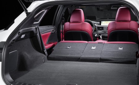 2018 Lexus RX 350 F SPORT Trunk Wallpapers 450x275 (32)