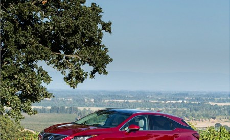 2018 Lexus RX 350 Front Three-Quarter Wallpapers 450x275 (51)