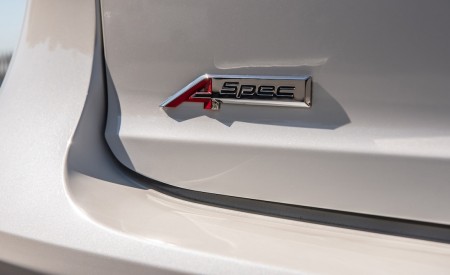 2019 Acura MDX A-Spec Badge Wallpapers 450x275 (18)