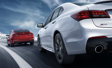 2019 Acura TLX A-Spec SH-AWD Detail Wallpapers 450x275 (3)