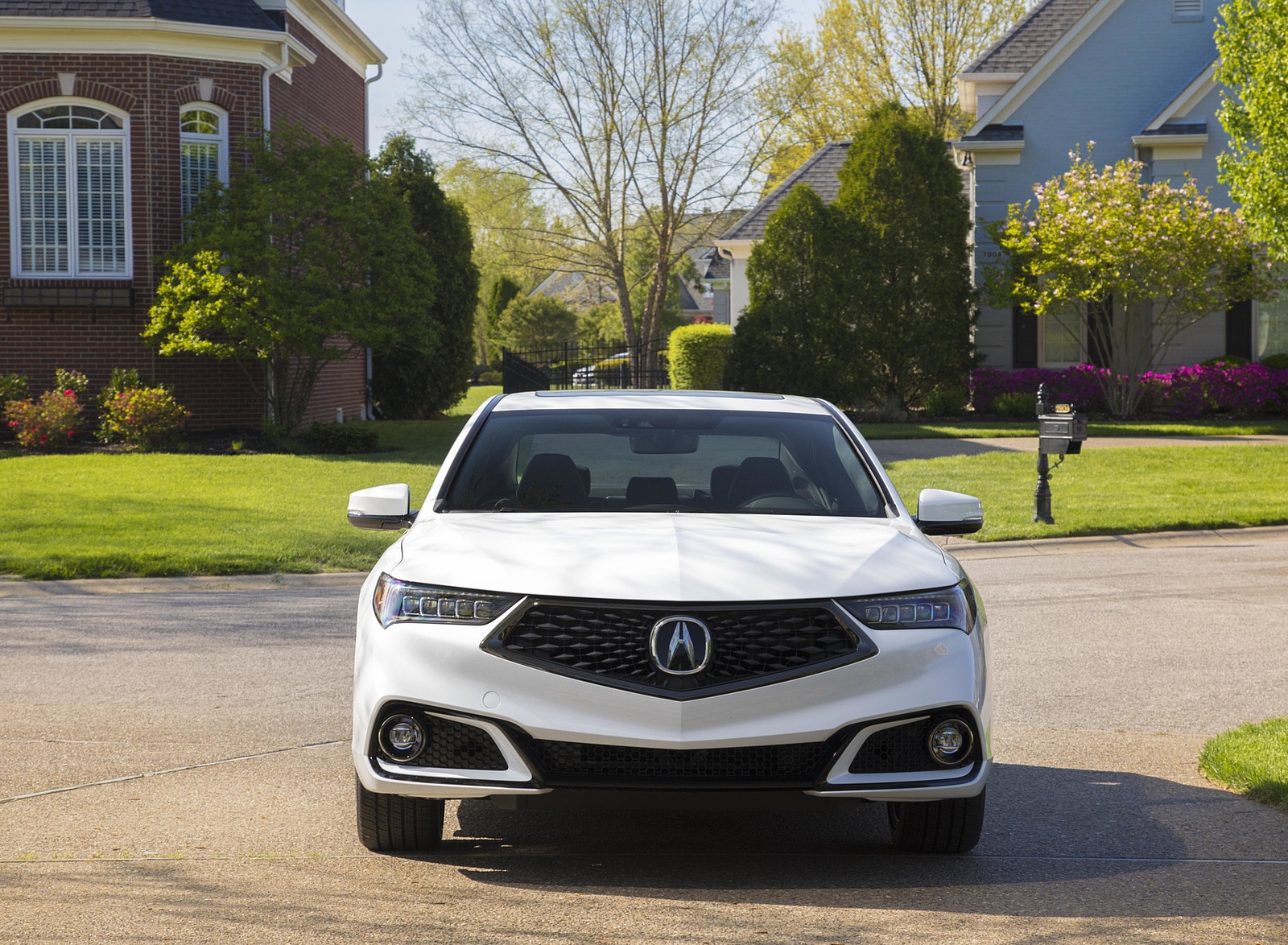 2019 Acura TLX A-Spec SH-AWD Front Wallpapers (13)