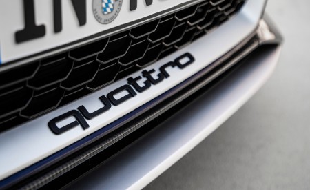 2019 Audi RS5 Sportback Grill Wallpapers 450x275 (14)