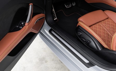 2019 Audi TT 20th Anniversary Edition Door Sill Wallpapers 450x275 (30)