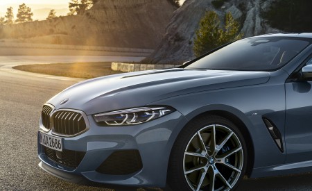 2019 BMW 8-Series M850i Detail Wallpapers 450x275 (18)