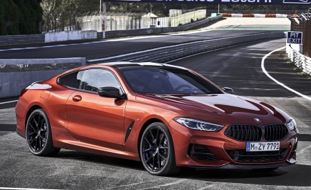 2019 BMW 8-Series M850i Front Three-Quarter Wallpapers 450x275 (69)