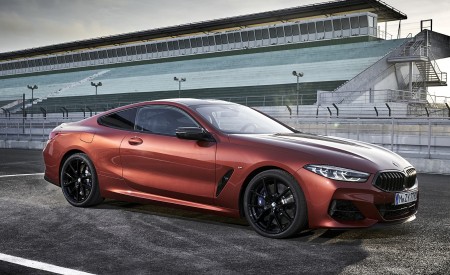 2019 BMW 8-Series M850i Front Three-Quarter Wallpapers 450x275 (57)