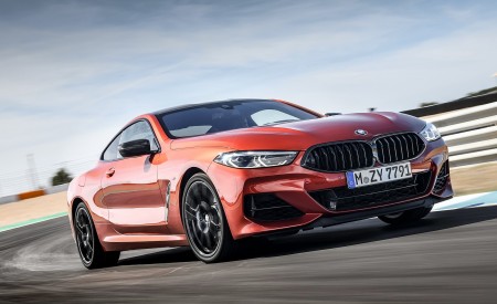 2019 BMW 8-Series M850i Front Three-Quarter Wallpapers 450x275 (44)