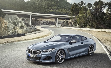 2019 BMW 8-Series M850i Front Three-Quarter Wallpapers 450x275 (17)