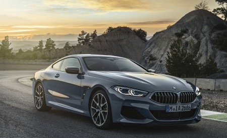 2019 BMW 8-Series M850i Front Three-Quarter Wallpapers 450x275 (4)