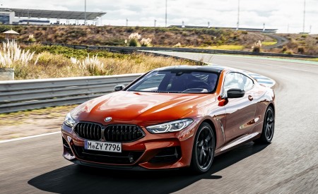 2019 BMW 8-Series M850i Front Three-Quarter Wallpapers 450x275 (32)