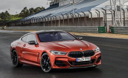 2019 BMW 8-Series M850i Front Three-Quarter Wallpapers 450x275 (67)