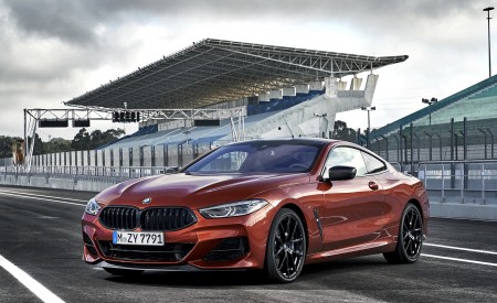 2019 BMW 8-Series M850i Front Three-Quarter Wallpapers 450x275 (55)
