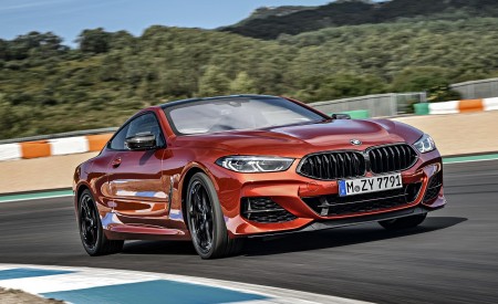 2019 BMW 8-Series M850i Front Three-Quarter Wallpapers 450x275 (39)