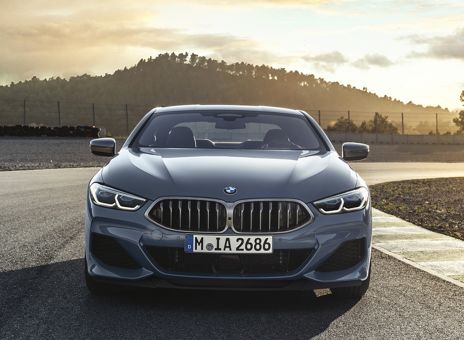 2019 BMW 8-Series M850i Front Wallpapers (13)