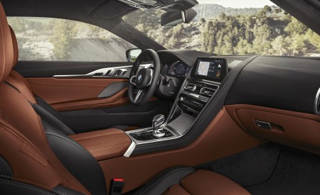 2019 BMW 8-Series M850i Interior Wallpapers 450x275 (27)