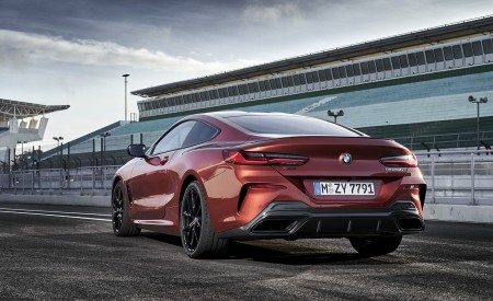 2019 BMW 8-Series M850i Rear Wallpapers 450x275 (60)