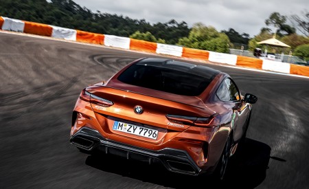 2019 BMW 8-Series M850i Rear Wallpapers 450x275 (35)