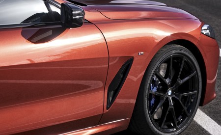 2019 BMW 8-Series M850i Side Vent Wallpapers 450x275 (75)