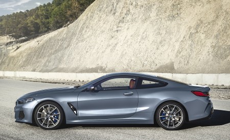 2019 BMW 8-Series M850i Side Wallpapers 450x275 (21)