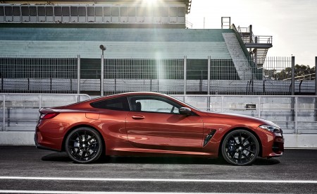 2019 BMW 8-Series M850i Side Wallpapers 450x275 (72)