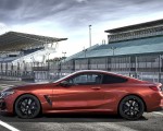 2019 BMW 8-Series M850i Side Wallpapers 150x120