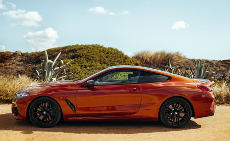 2019 BMW 8-Series M850i Side Wallpapers 450x275 (49)