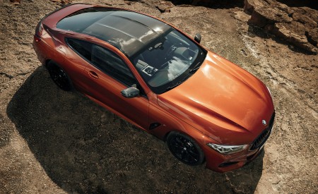 2019 BMW 8-Series M850i Top Wallpapers 450x275 (48)