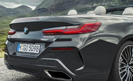 2019 BMW 8 Series M850i xDrive Convertible Detail Wallpapers 450x275 (25)