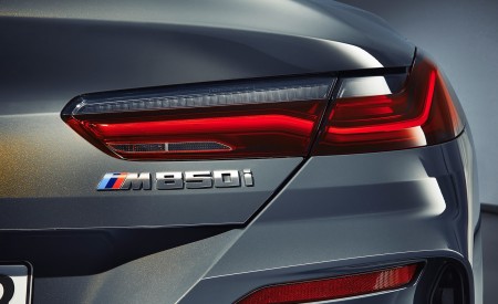 2019 BMW 8 Series M850i xDrive Convertible Tail Light Wallpapers 450x275 (53)