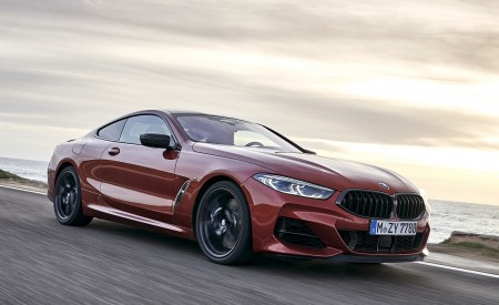 2019 BMW 8-Series M850i xDrive Front Three-Quarter Wallpapers 450x275 (95)