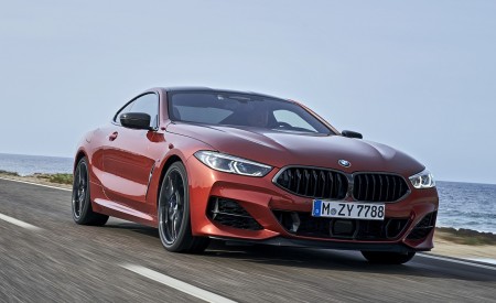 2019 BMW 8-Series M850i xDrive Front Three-Quarter Wallpapers 450x275 (94)