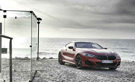 2019 BMW 8-Series M850i xDrive Front Three-Quarter Wallpapers 450x275 (101)
