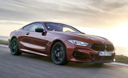 2019 BMW 8-Series M850i xDrive Front Three-Quarter Wallpapers 450x275 (93)