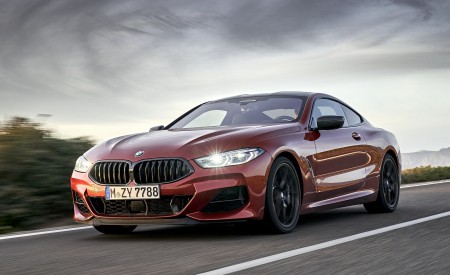 2019 BMW 8-Series M850i xDrive Front Three-Quarter Wallpapers 450x275 (92)