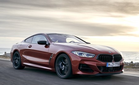2019 BMW 8-Series M850i xDrive Front Three-Quarter Wallpapers 450x275 (99)