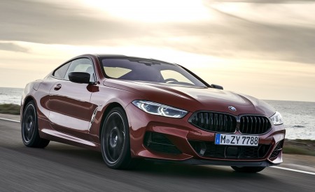 2019 BMW 8-Series M850i xDrive Front Three-Quarter Wallpapers 450x275 (91)