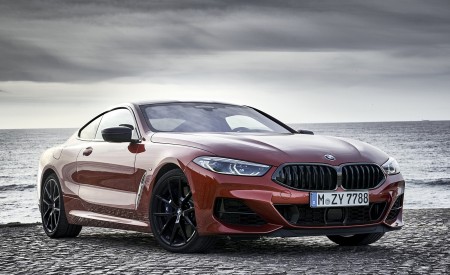 2019 BMW 8-Series M850i xDrive Front Three-Quarter Wallpapers 450x275 (98)