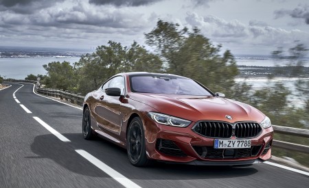 2019 BMW 8-Series M850i xDrive Front Three-Quarter Wallpapers 450x275 (90)