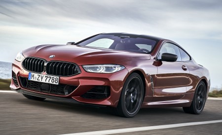 2019 BMW 8-Series M850i xDrive Front Three-Quarter Wallpapers 450x275 (89)