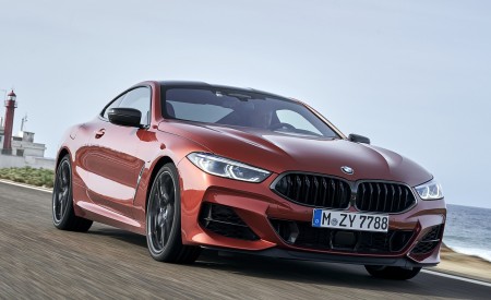 2019 BMW 8-Series M850i xDrive Front Three-Quarter Wallpapers 450x275 (88)