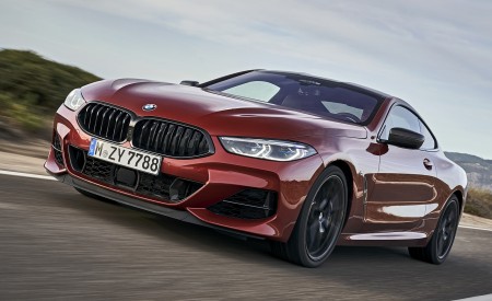 2019 BMW 8-Series M850i xDrive Front Three-Quarter Wallpapers 450x275 (87)