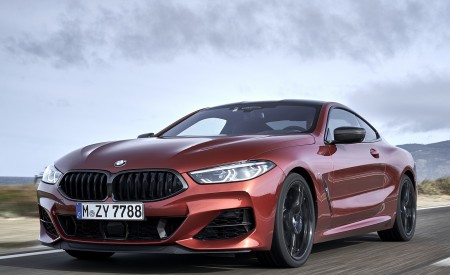 2019 BMW 8-Series M850i xDrive Front Three-Quarter Wallpapers 450x275 (86)
