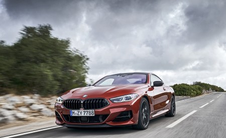 2019 BMW 8-Series M850i xDrive Front Three-Quarter Wallpapers 450x275 (85)