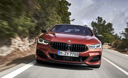 2019 BMW 8-Series M850i xDrive Front Wallpapers 450x275 (82)