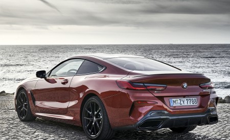 2019 BMW 8-Series M850i xDrive Rear Three-Quarter Wallpapers 450x275 (108)