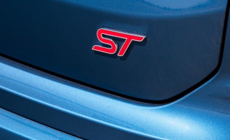 2019 Ford Edge ST Badge Wallpapers 450x275 (33)