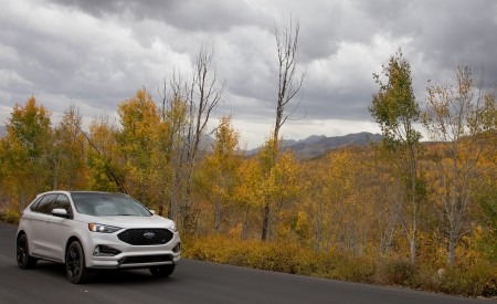 2019 Ford Edge ST Front Three-Quarter Wallpapers 450x275 (55)