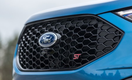 2019 Ford Edge ST Grill Wallpapers 450x275 (9)